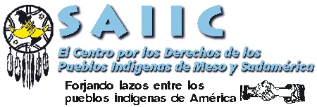 Centro de Derechos porlos Pueblos Indígenas de Meso y Sudamérica