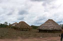 Trs momentos da construo das casas Xavante. Foto Fernando Zambada