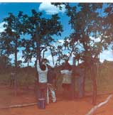 Construo de galinheiro comunitrio na aldeia Abelhinha. Foto Ariovaldo Umbelino de Oliveira