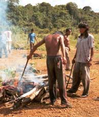 A caa  um pouco assada para que seja um bom casamento, se o rapaz levar a carne crua estar desrespeitando a famlia da moa. Foto Francisco Junior