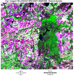 Nesta foto, do satlite TM Landsat 225/71 de 17/06/99, podemos observar que o Territrio de Sangradouro (em verde),  uma ilha de cerrado intacto em meio ao desmatamento (em rosa e roxo) praticado nas propriedades vizinhas. Agradecimentos Ariovaldo Umbelino de Oliveira.