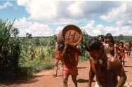 Grupo Hotor carrega a tora competindo com o grupo Tirwa. Foto Xanda de Biase